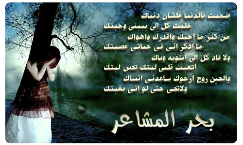 11 رقم مجموعة الصور