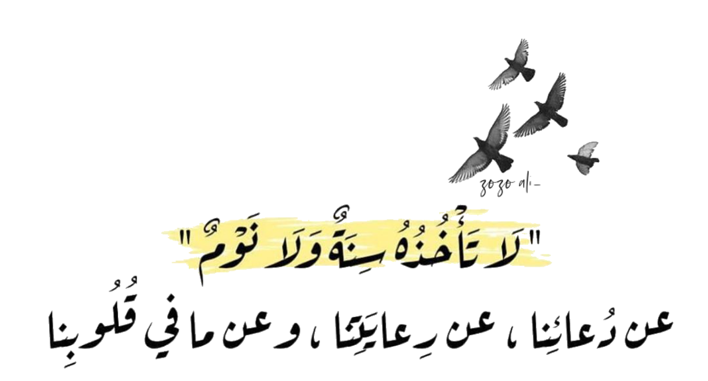 3 رقم مجموعة الصور