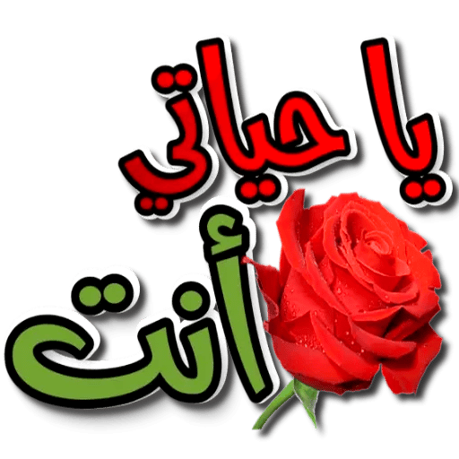 13 رقم مجموعة الصور