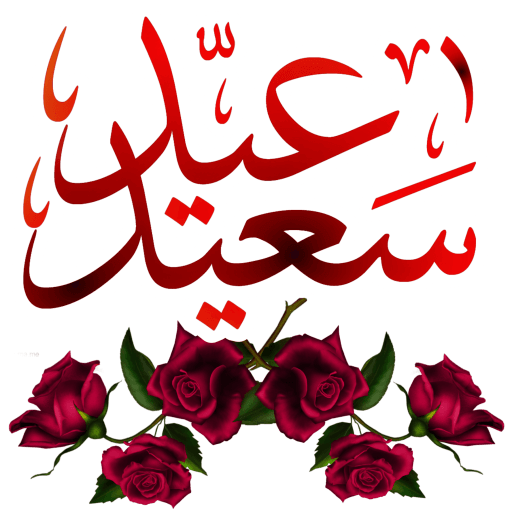 16 رقم مجموعة الصور