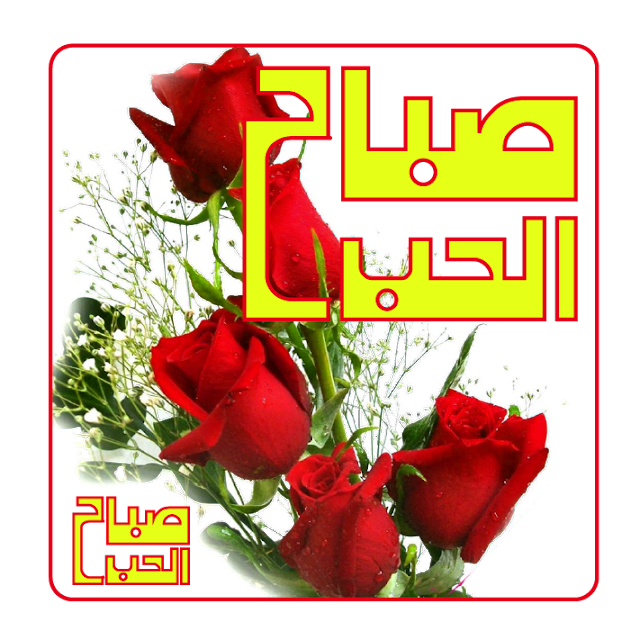 11 رقم مجموعة الصور