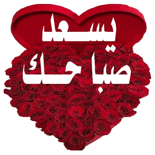 17 رقم مجموعة الصور