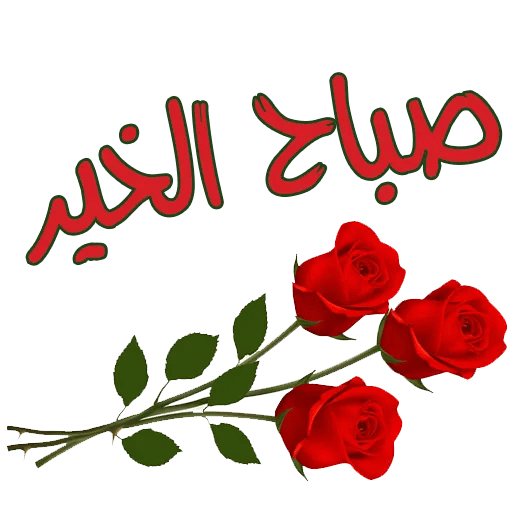 8 رقم مجموعة الصور