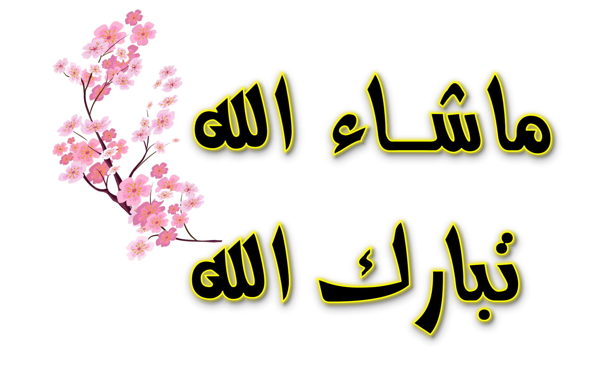 11 رقم مجموعة الصور