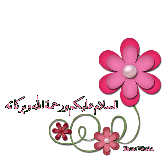 11 رقم مجموعة الصور