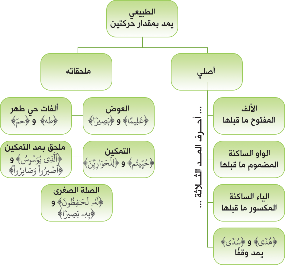 16 رقم مجموعة الصور