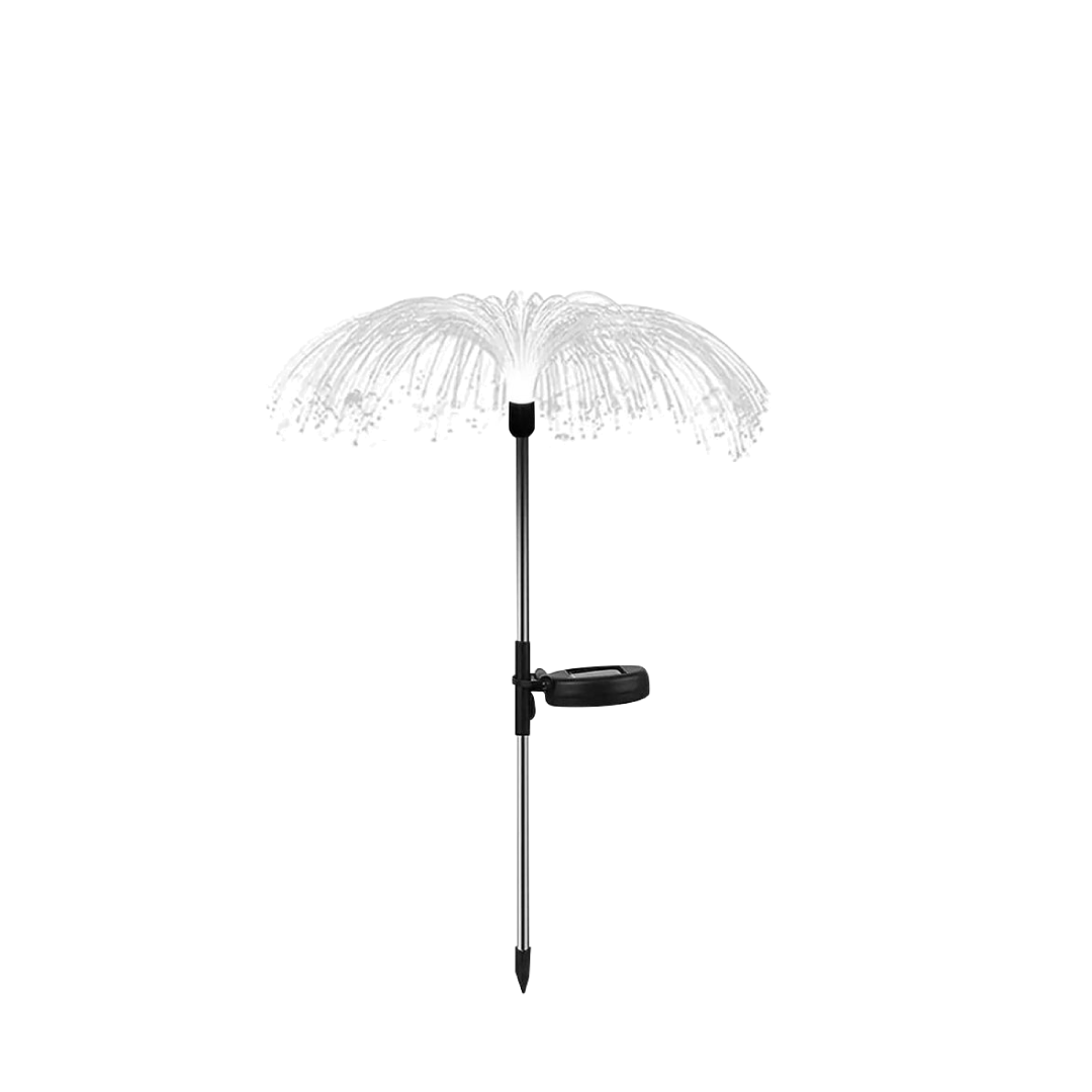 11 رقم مجموعة الصور