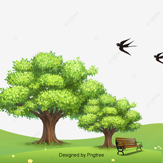 5 رقم مجموعة الصور