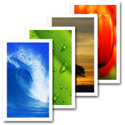 8 رقم مجموعة الصور