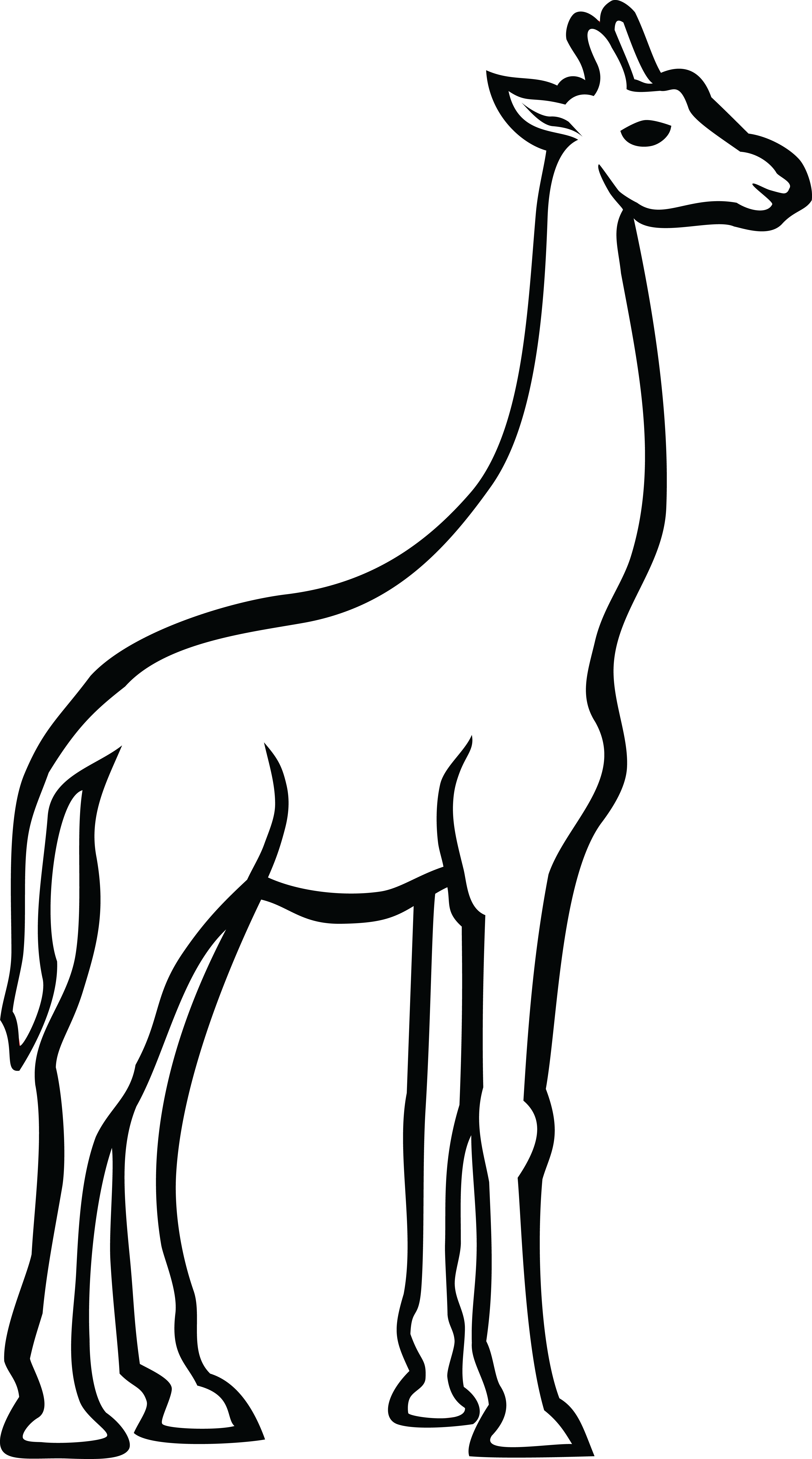11 رقم مجموعة الصور