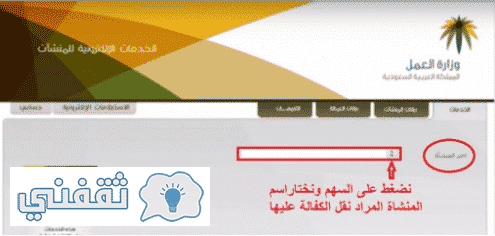 10 رقم مجموعة الصور