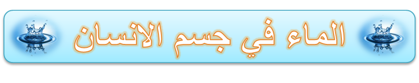 12 رقم مجموعة الصور