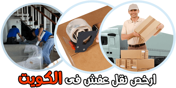 10 رقم مجموعة الصور