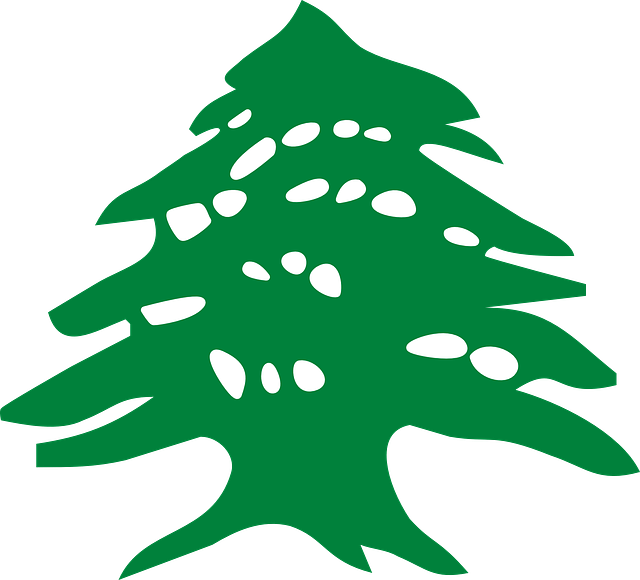 4 رقم مجموعة الصور