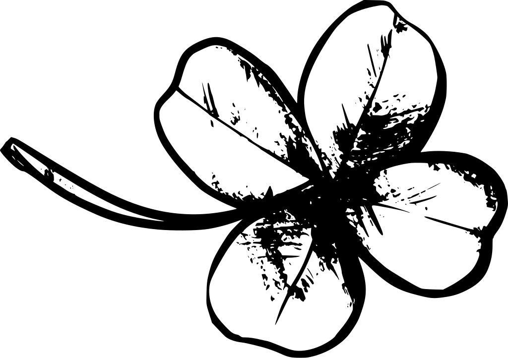 نبات النفل - KibrisPDR