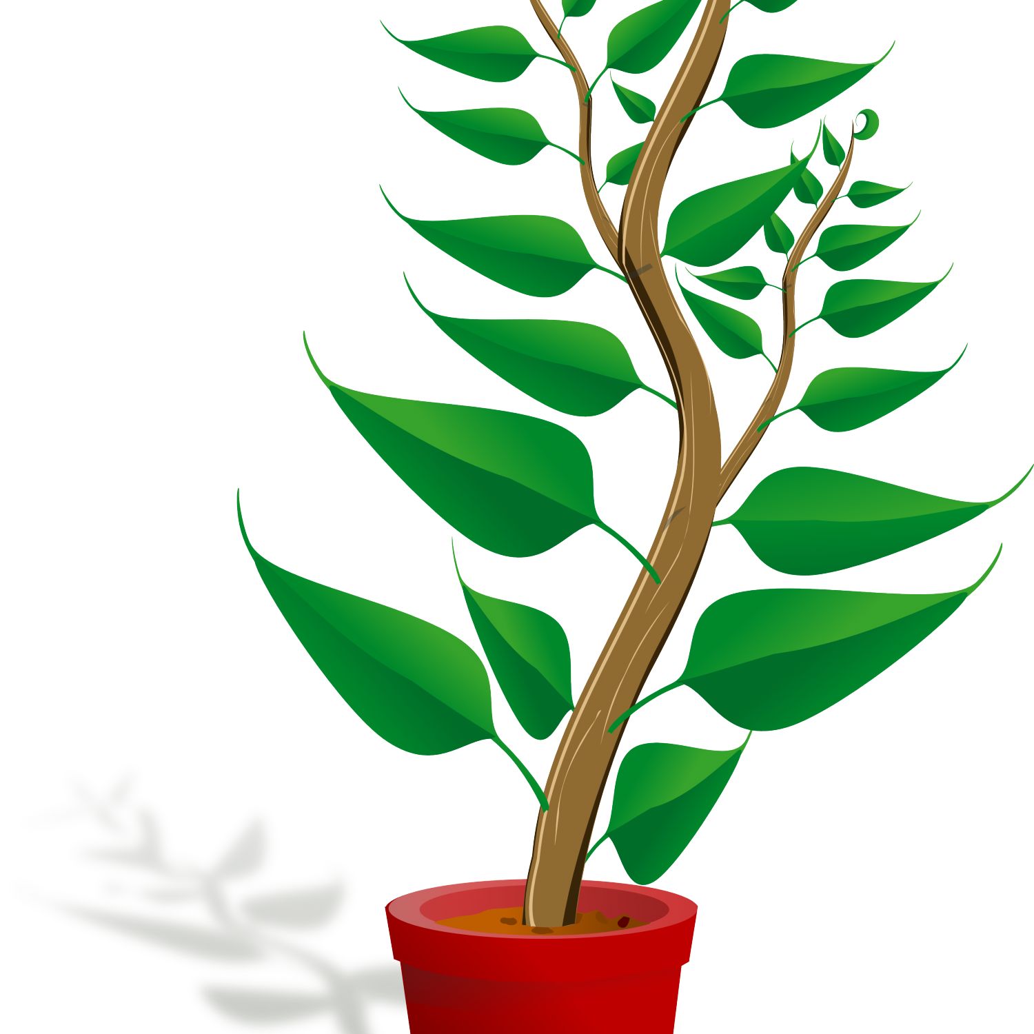 2 رقم مجموعة الصور