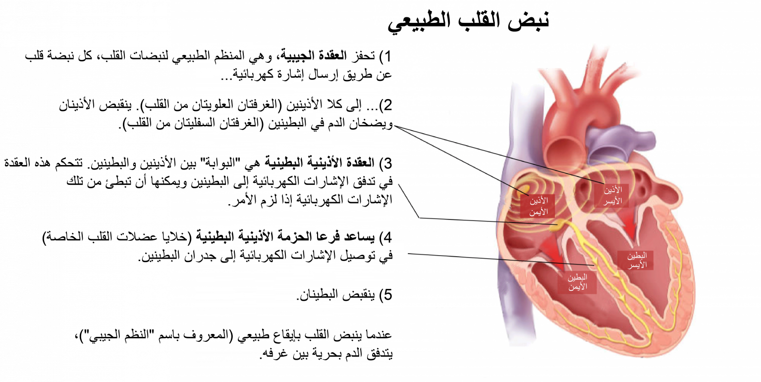 2 رقم مجموعة الصور