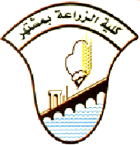 10 رقم مجموعة الصور