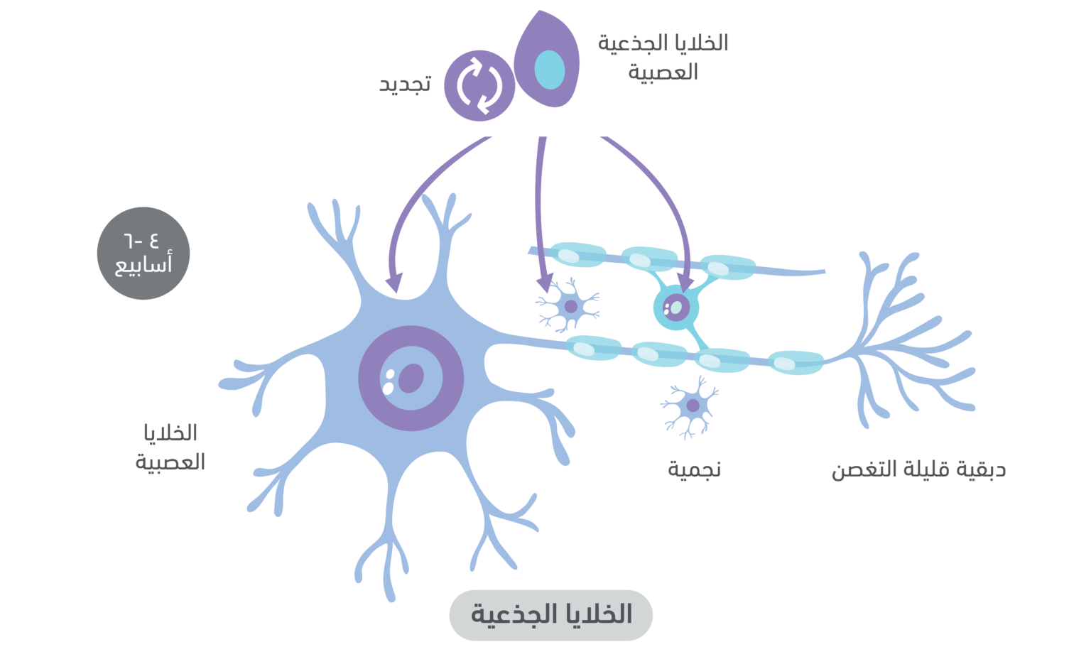 8 رقم مجموعة الصور