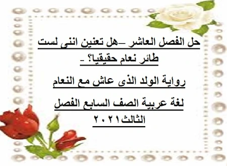 10 رقم مجموعة الصور