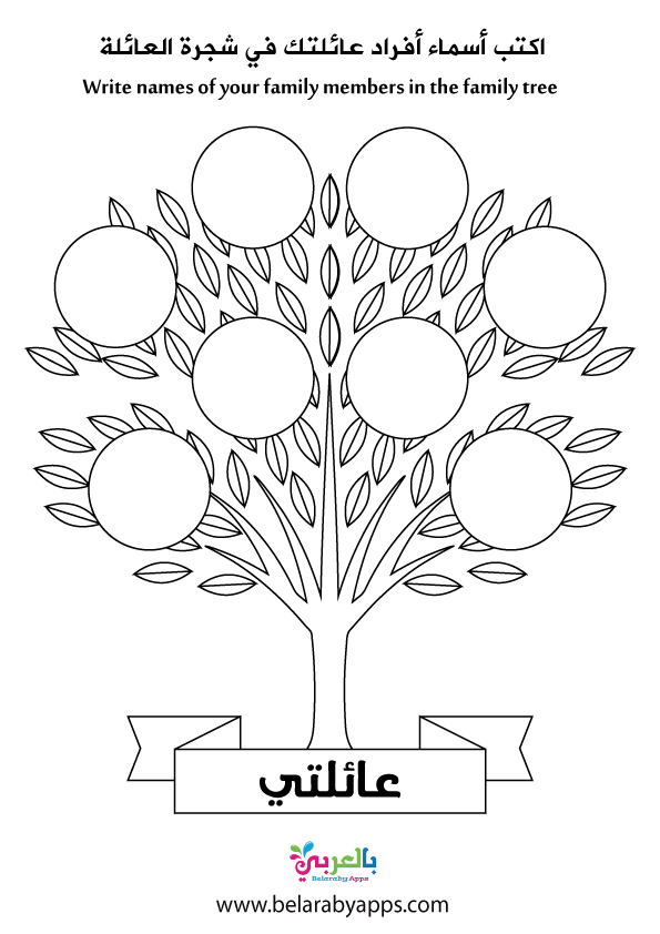 2 رقم مجموعة الصور
