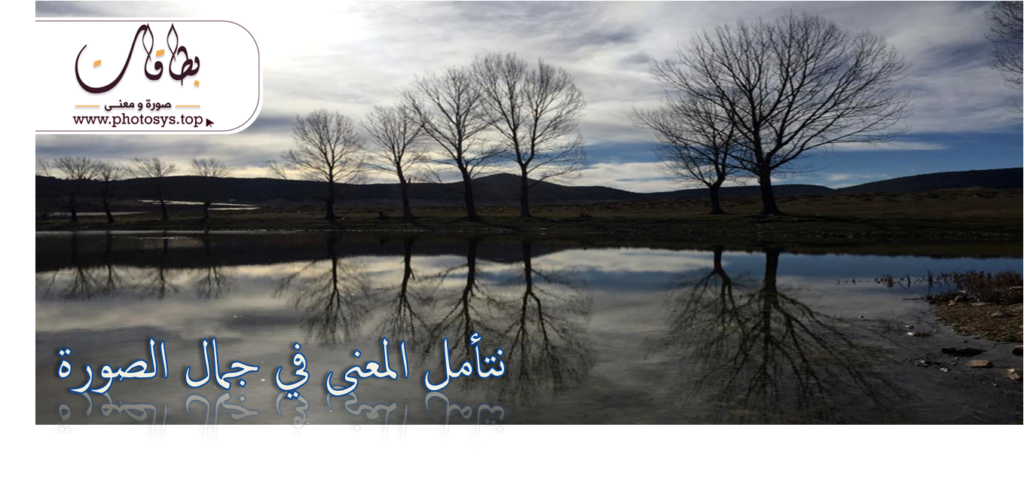 13 رقم مجموعة الصور