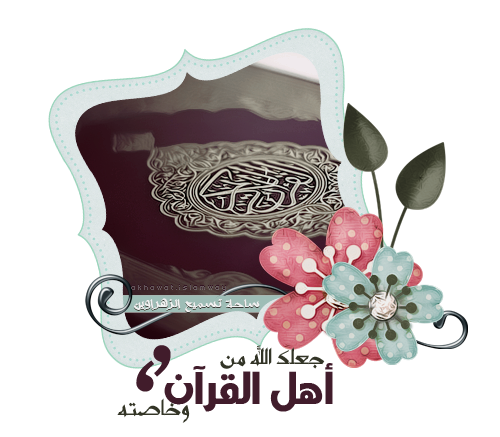 3 رقم مجموعة الصور