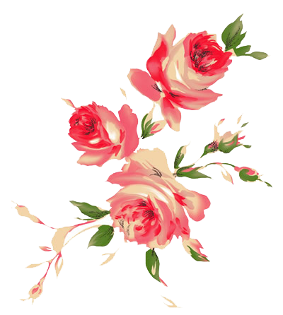 8 رقم مجموعة الصور