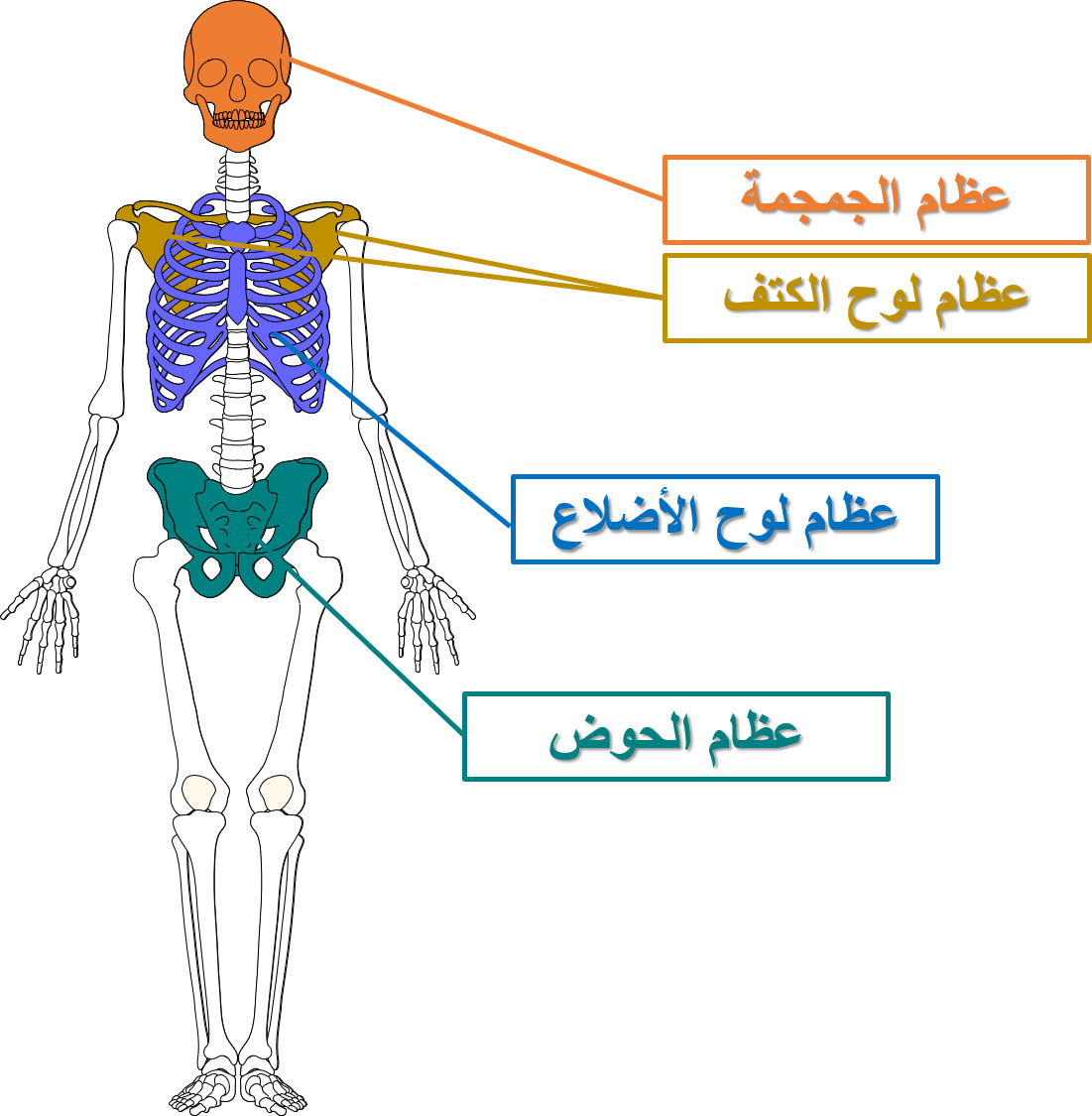 8 رقم مجموعة الصور