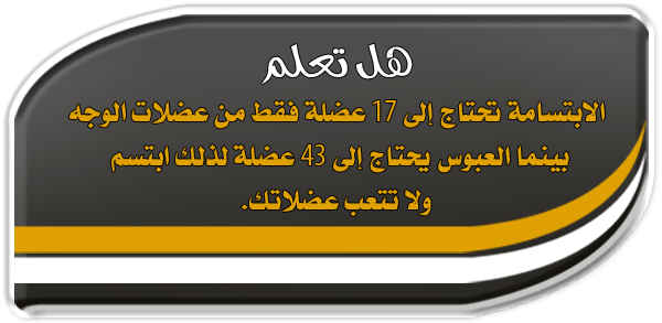 4 رقم مجموعة الصور