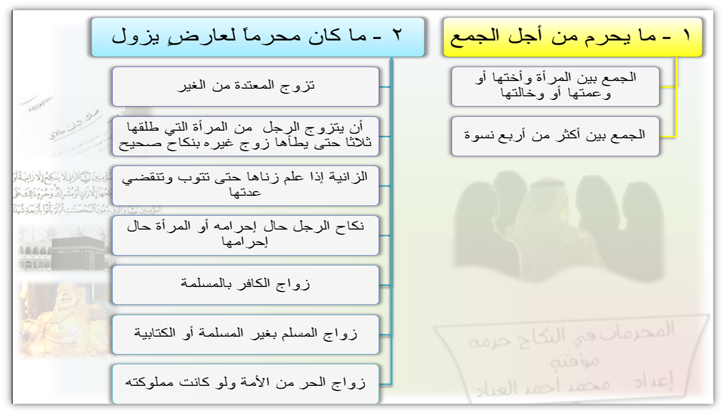 7 رقم مجموعة الصور