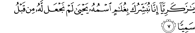 13 رقم مجموعة الصور