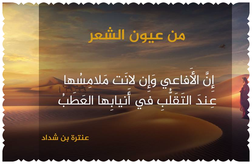 8 رقم مجموعة الصور