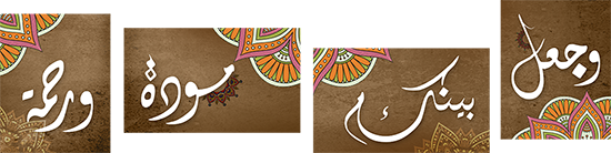 12 رقم مجموعة الصور