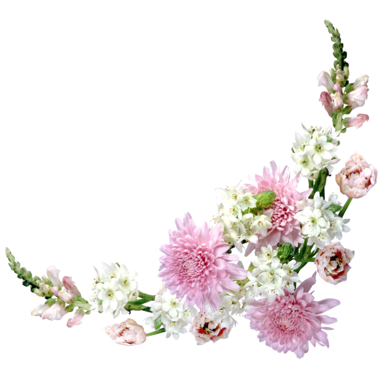 7 رقم مجموعة الصور