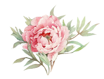 2 رقم مجموعة الصور