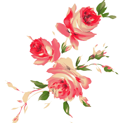 4 رقم مجموعة الصور