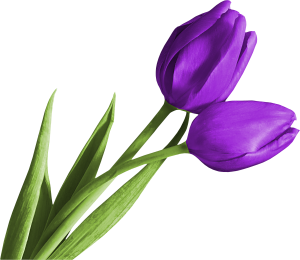 4 رقم مجموعة الصور