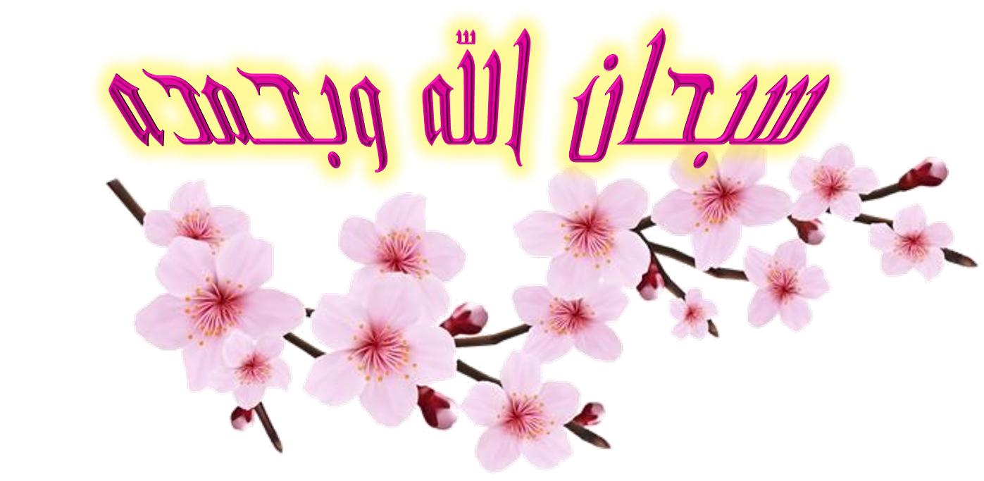 7 رقم مجموعة الصور