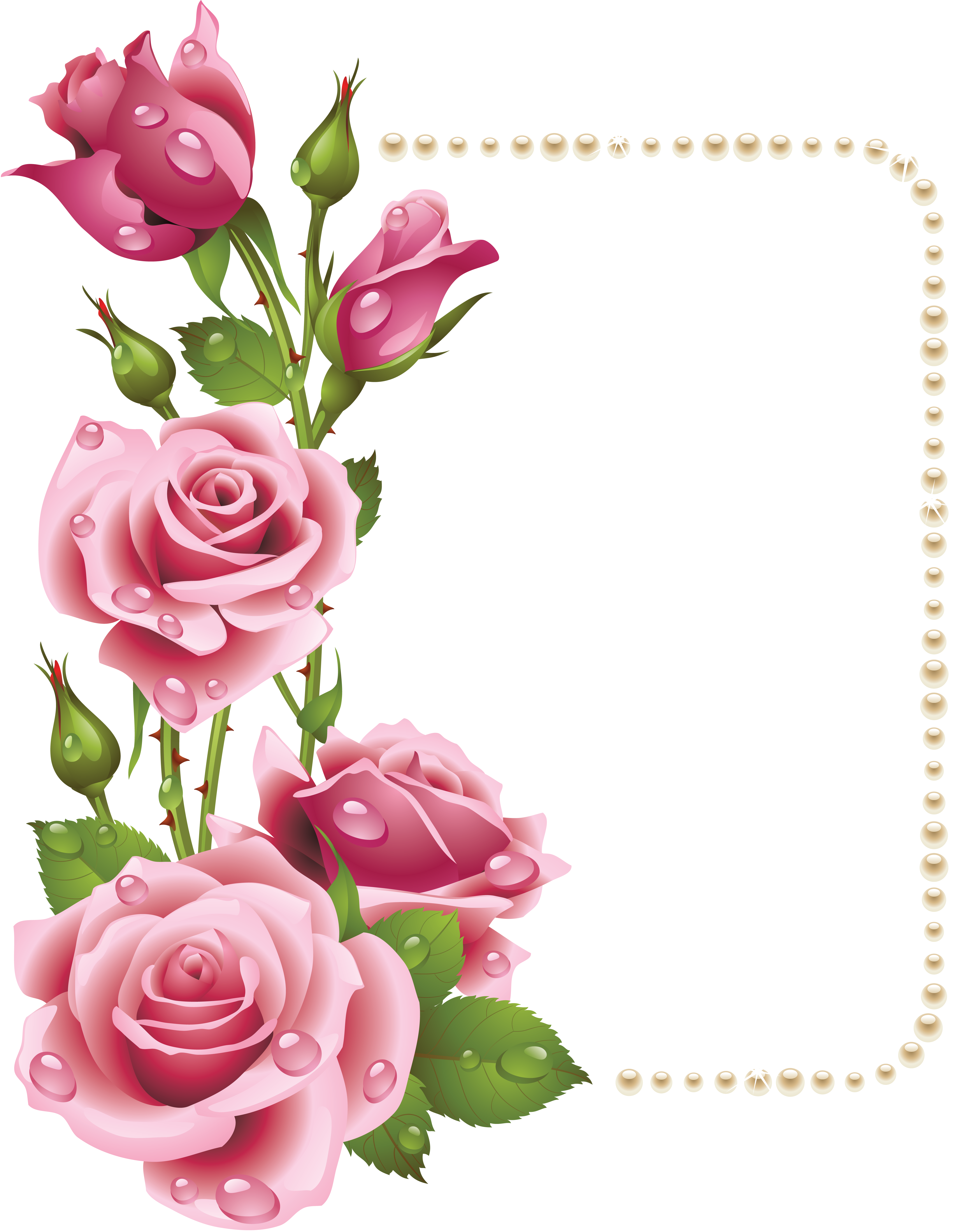 2 رقم مجموعة الصور