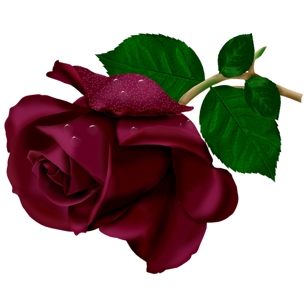 18 رقم مجموعة الصور