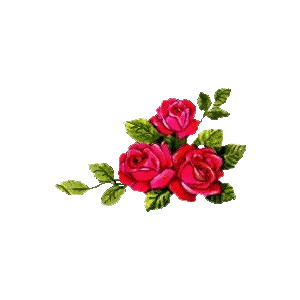 13 رقم مجموعة الصور