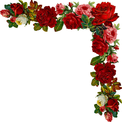 15 رقم مجموعة الصور