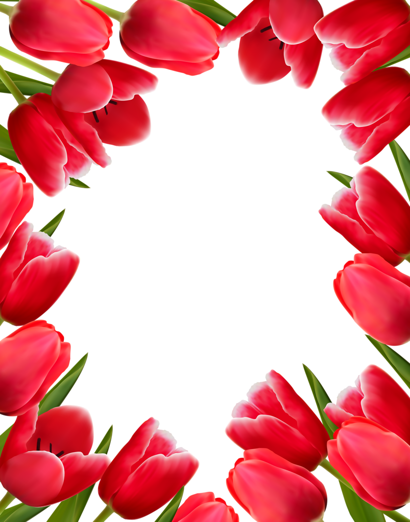 7 رقم مجموعة الصور