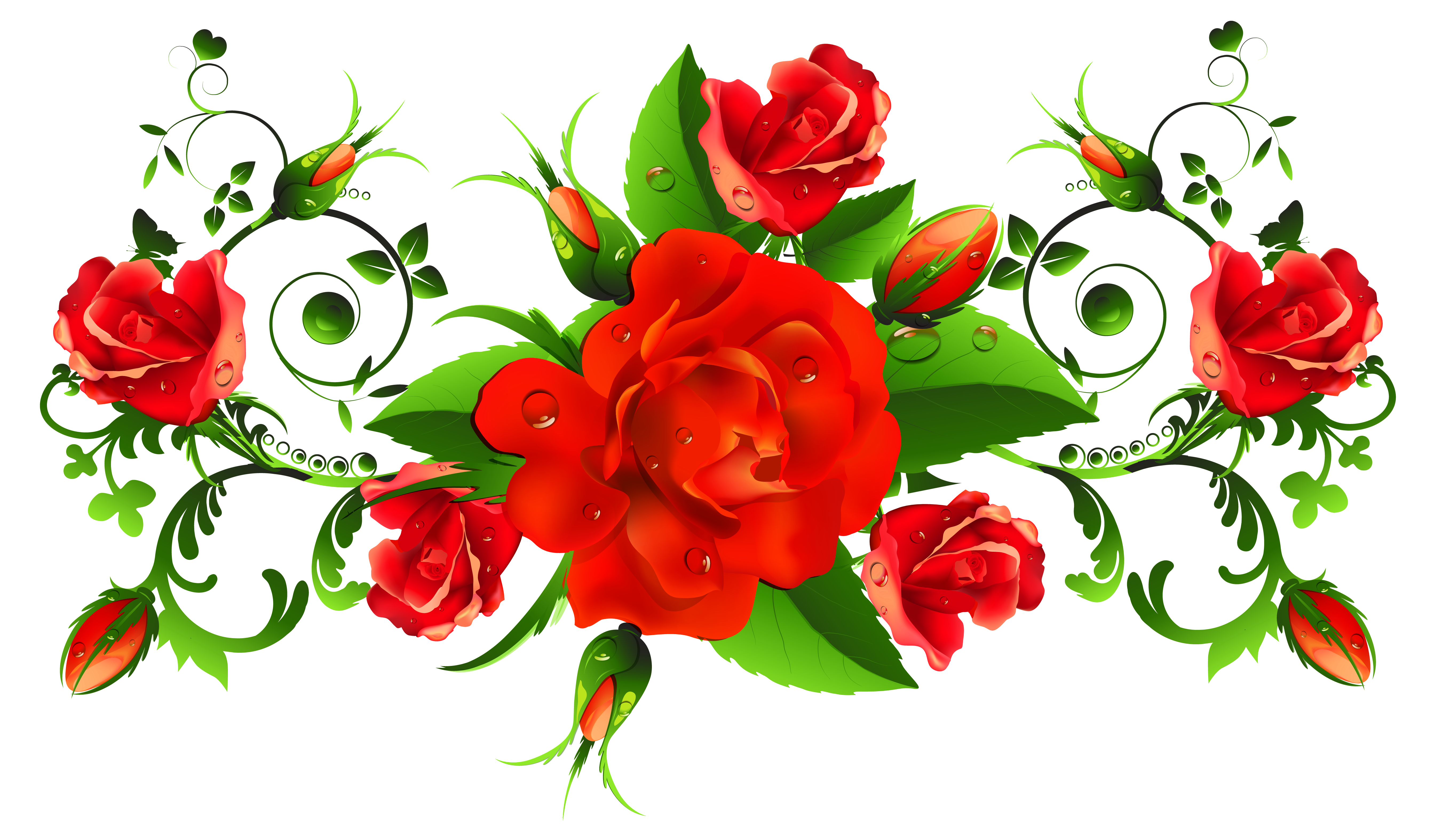 4 رقم مجموعة الصور