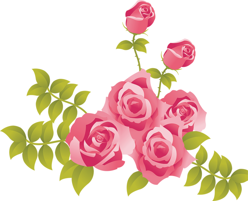 9 رقم مجموعة الصور