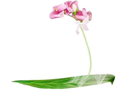 14 رقم مجموعة الصور