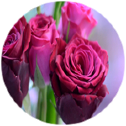 16 رقم مجموعة الصور