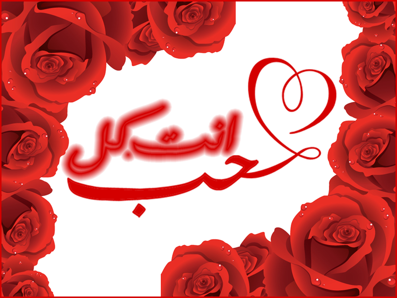 6 رقم مجموعة الصور
