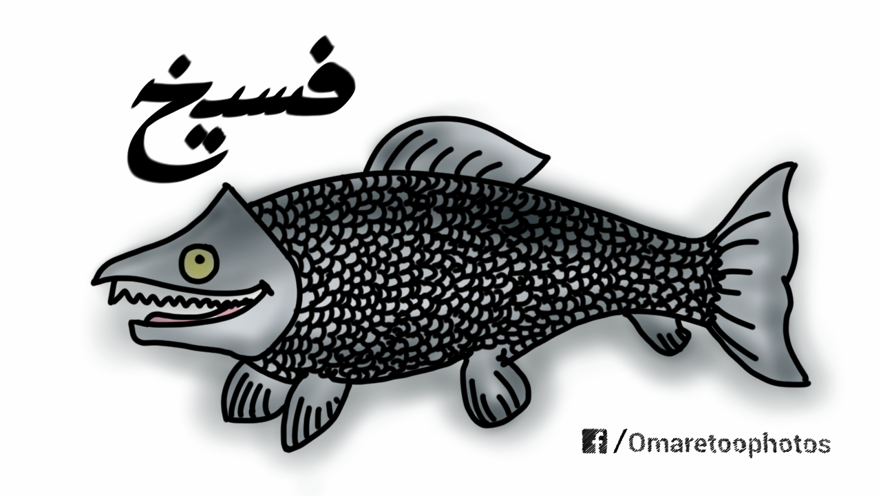 13 رقم مجموعة الصور